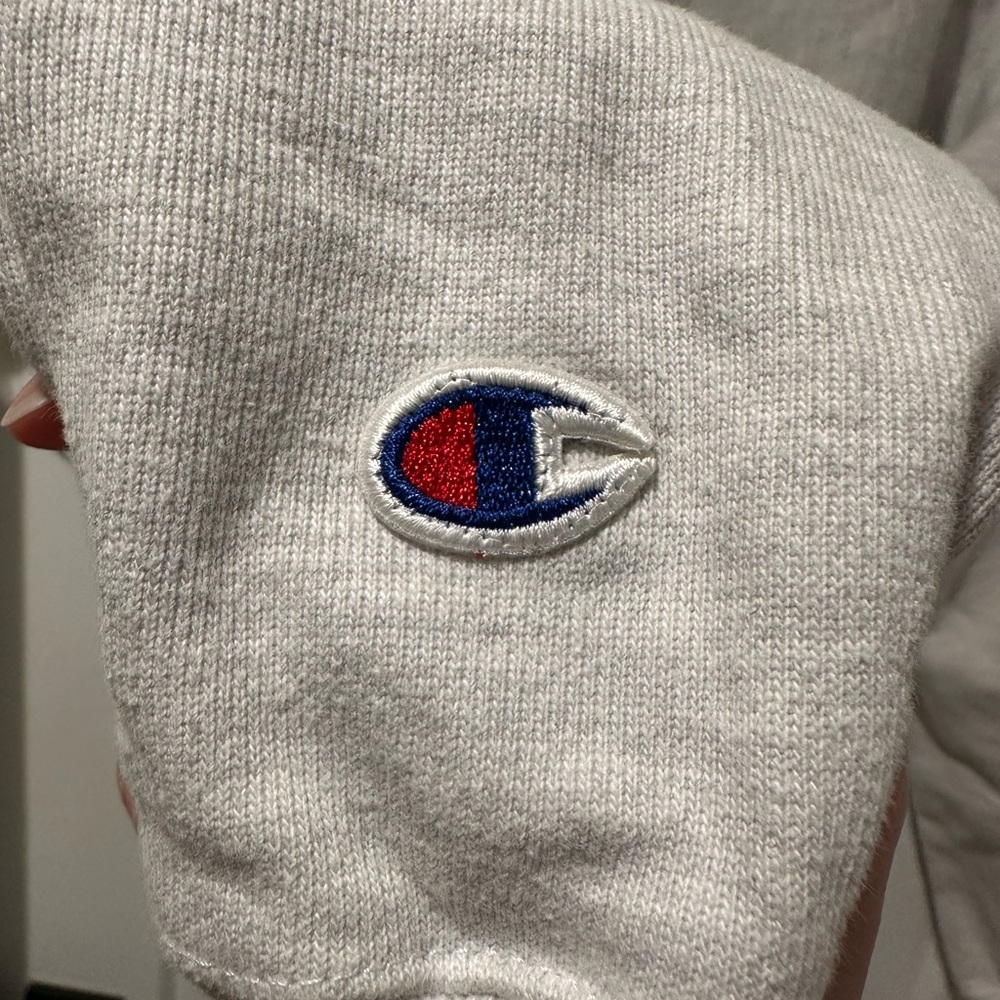 Champion Women's Gray Michigan Cropped Hoodie - Picture 3 of 5